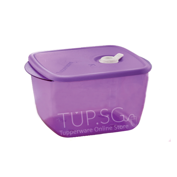 Legacy Mini Stor N Pour 250ml – Tupperware Singapore