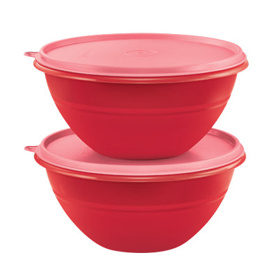 Tupperware SIngapore | Wonderlier Bowl (2) 1.7L